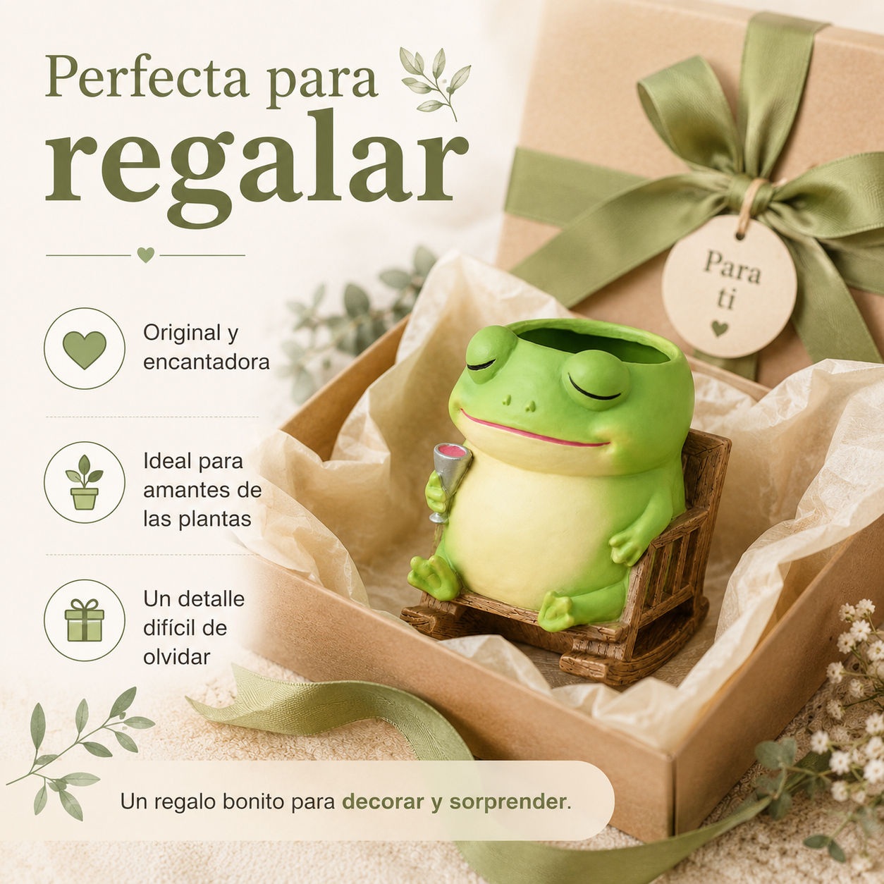 Potchi Rana como regalo para amantes de las plantas